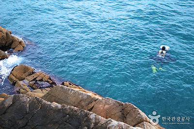 자맥질 중인 해녀들