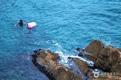 물속으로 한창 자맥질 중인 해녀들