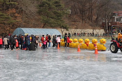 산정호수썰매축제를 위해 특별히 제작한 오리 타요