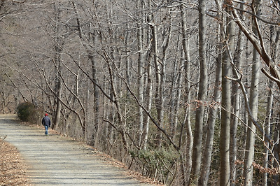 다양한 수종에 둘러싸인 채 산세를 따라 부드럽게 굽어 돈다