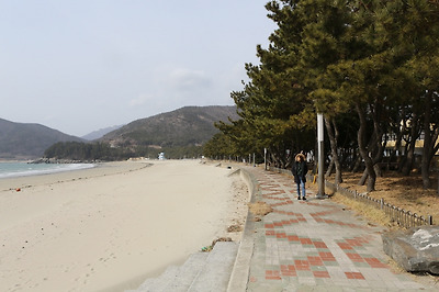 바닷가를 끼고 도는 4코스