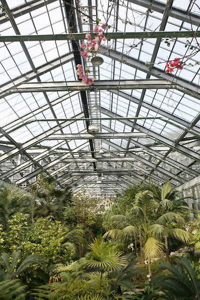 완도수목원 아열대 온실