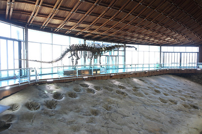 마멘키사우루스 골격과 대형 공룡 발자국 화석이 있는 3보호각