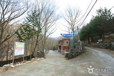 원동자연휴양림 사진3