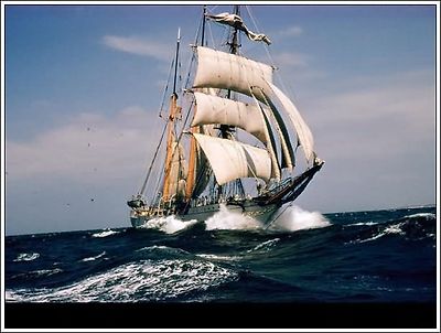 20150324_195854_112