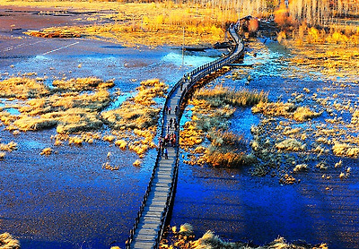 456b1b42895ab77c5882ac0d1cf6b16b