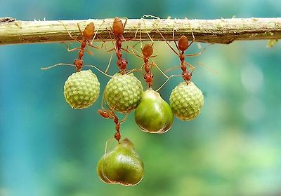 146e973b7a550df9df539f189e6c06a7