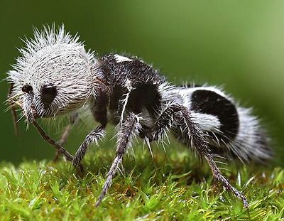 70a86e2785dee8ef15bf90d58ecd85ef