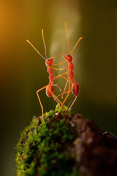 a285daac3784e40b2124e6fe2cc45937