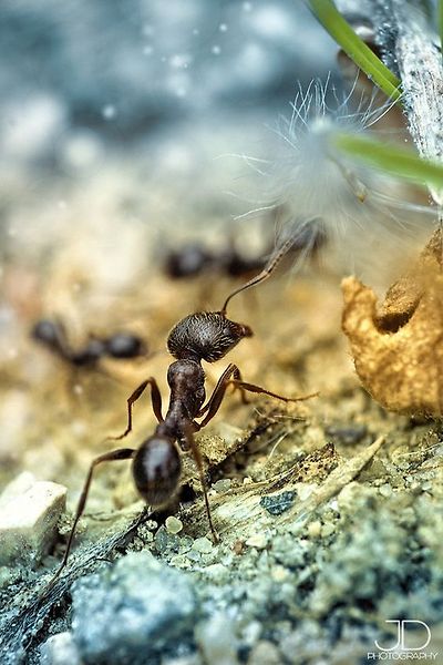 a2bce40e5ca4a1330c7d887e5120e8fd