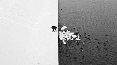 winter-contrast-in-krakow-poland-black-and-white.jpg winter-contrast-in-krakow-poland-black-and-white.jpg