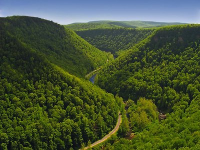 meandering-Pine-Creek-Gorge-Tioga-County-PA-USA