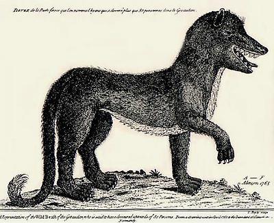 File:Gevaudanwolf.jpg