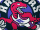 Toronto Raptors Toronto Raptors