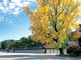 Kyoto Imperial Palace 280×180