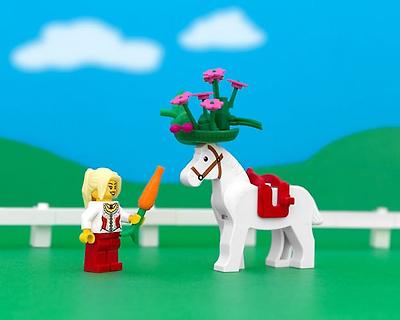 States Of LEGO