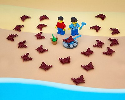 States Of LEGO
