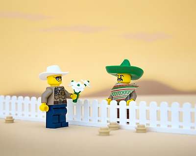 50 States Of LEGO