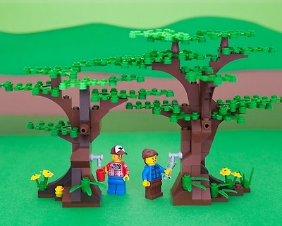 States Of LEGO