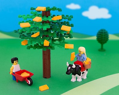 States Of LEGO