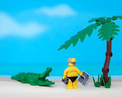 States Of LEGO
