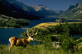 Waterton Lakes National Park