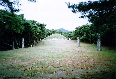 사적 제30호-신라흥덕왕릉(新羅興德王陵)