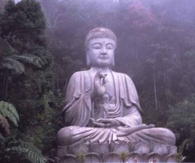 buddhaì ëí ì´ë¯¸ì§ ê²ìê²°ê³¼