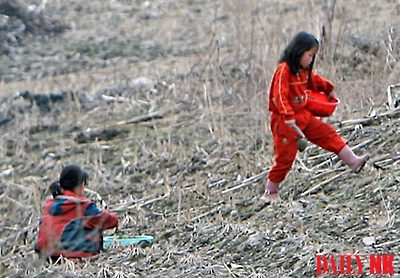 북한 평안북도 삭주군. 봄나물을 채취하고 있는 2명의 소녀. / 사진=데일리NK 자료사진