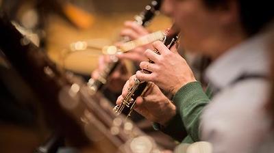 Orchester Holzbläser에 대한 이미지 검색결과
