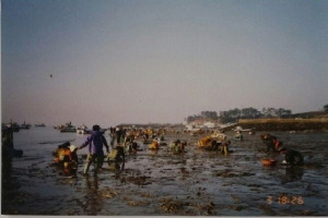 자율관리공동체를 가다/ 전북 개야도자율관리공동체