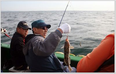 인천 남항 연안유선 경원7호 우럭배낚시