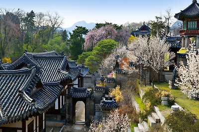 창덕궁 낙선재 뒤뜰 4월 1일부터 개방