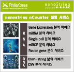 필코리아테크놀로지