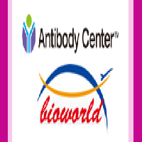 [Newsletter]ERK Signaling Pathway