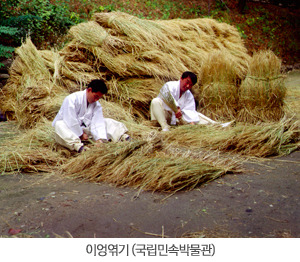 이엉엮기(국립민속박물관)