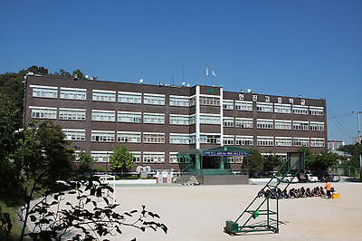 IMG_4339.jpg