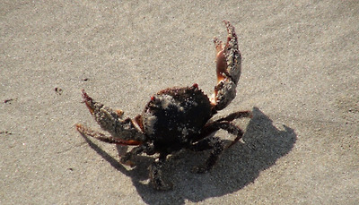 클릭하시면 원본 크기로 보실수 있습니다.