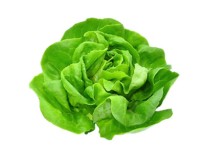 shutterstock_1011650908.jpg