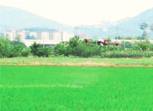 드론 활용 방제