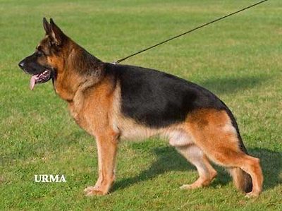 VA 3 Orbit vom H&uuml;hnegrab