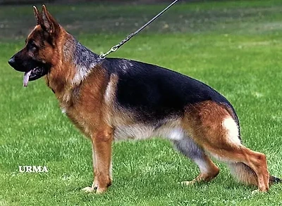 V19 Tor Di Casa Nobili