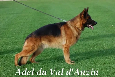 Adel du Val D'Anzin