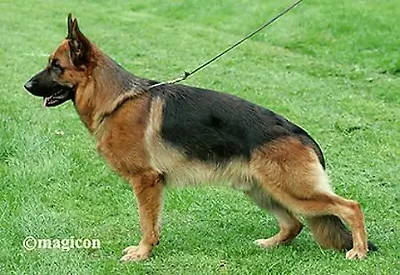 V24 Naxos Holtk&auml;mper See (Copy)