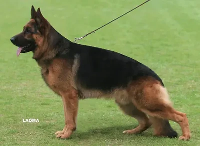 Uran von der Wilhelmswarte