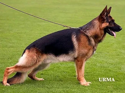 V Wodin vom Holtk&auml;mper See