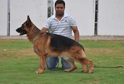 SG5 (ITALY) Eros delle Antiche Muse