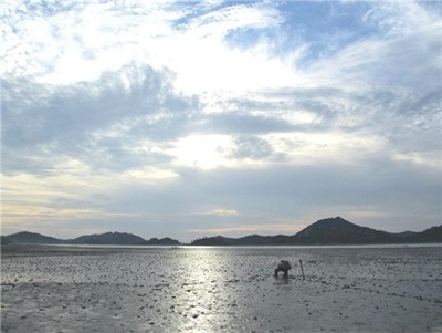 대통령 김대중의 고향 섬, 하의도