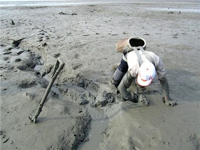 대통령 김대중의 고향 섬, 하의도