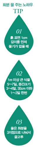 이미지 대체 내용을 작성합니다.